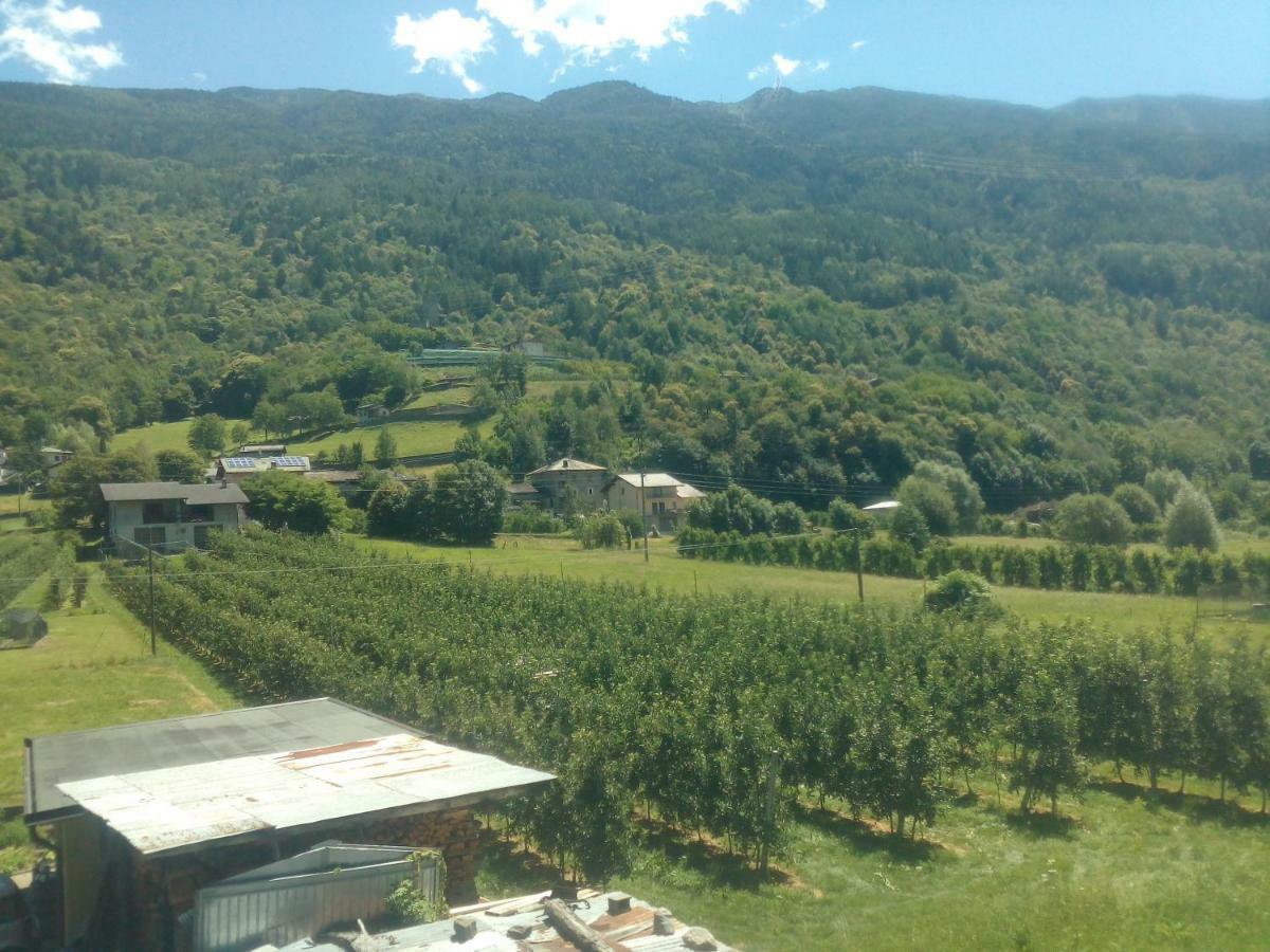 Hotel Free Hugs Mazzo di Valtellina Exterior foto